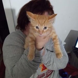 Meet your Posher, Tricia & Madelyn The Daughter 👋